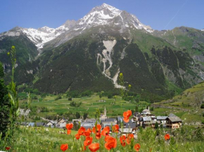 Terrasses D 502 - PARC NAT VANOISE appart 4 pers